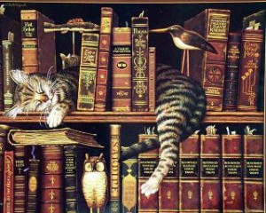 gatti e libri 1