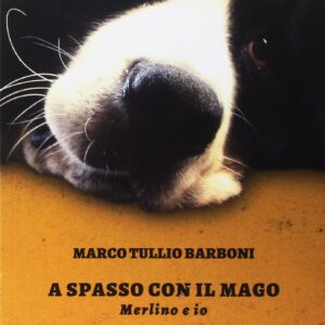 A Spasso con il Mago. Merlino e io